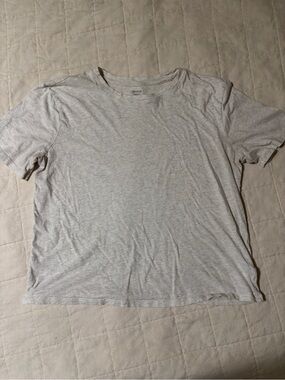 Express Short Sleeve Crewneck T-Shirt in Light Gray Cream